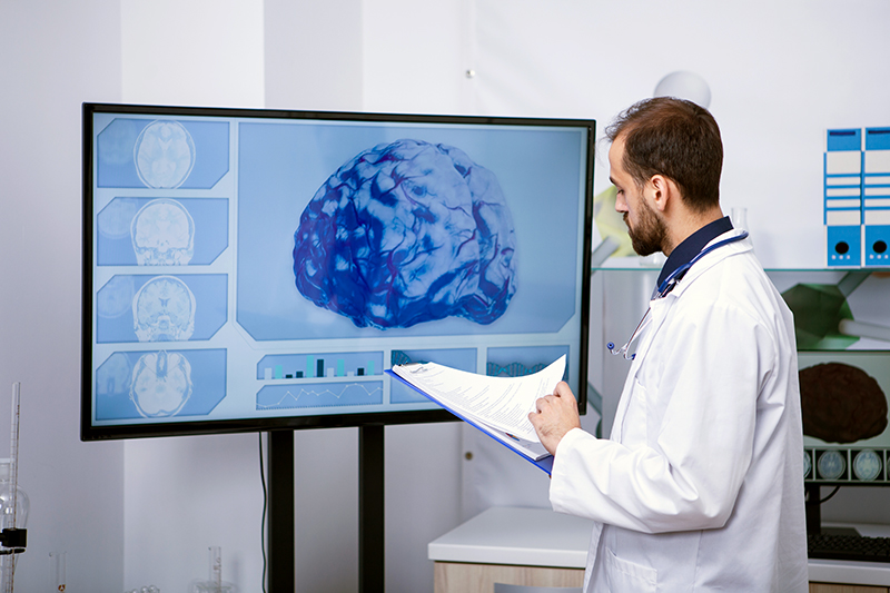 The Function Of The Brain In Relation To Hearing