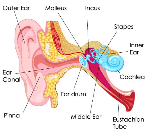 Hearing Loss Treatment NYC